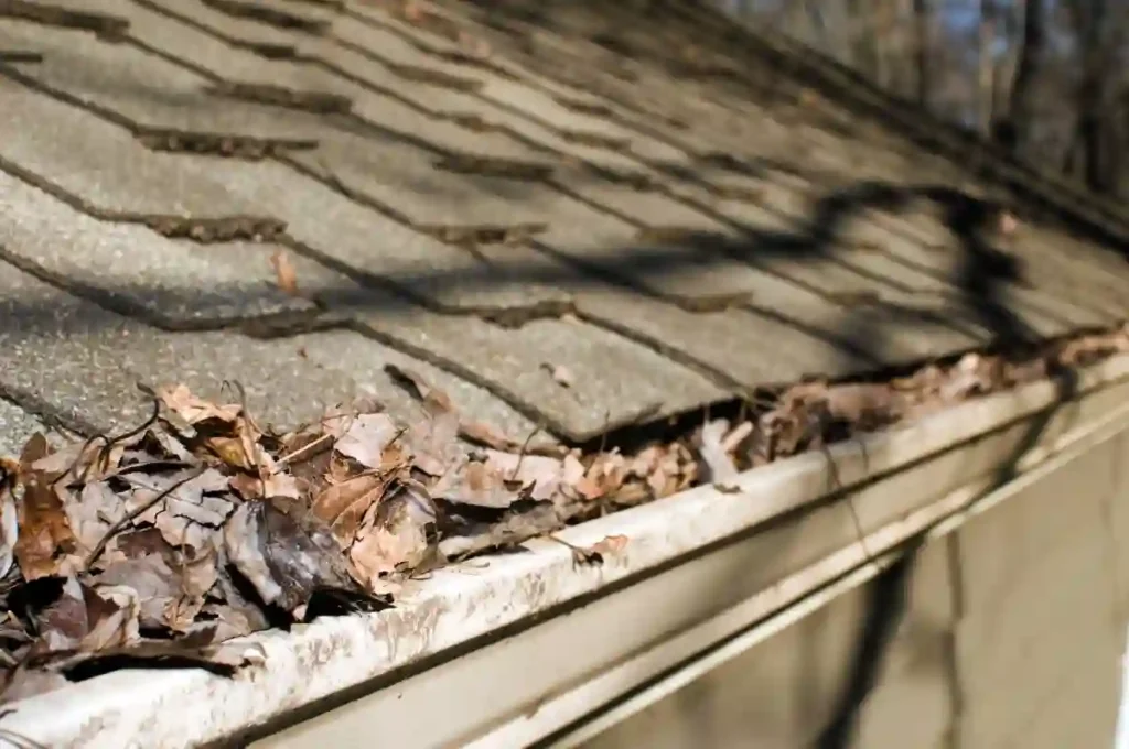 spring roof problems, spring roof damage, roof repair